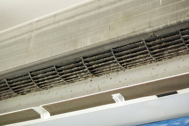 Best Residential Air Duct Cleaning  in Lennox, CA